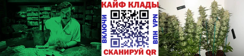 LSD-25 Мичуринск