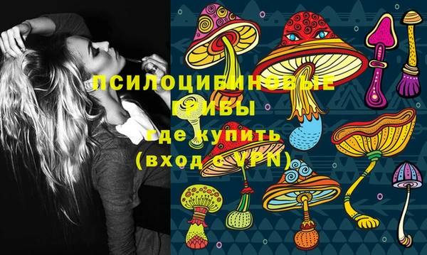 первитин Алексеевка