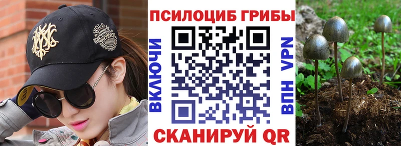 Галлюциногенные грибы GOLDEN TEACHER  Мичуринск 